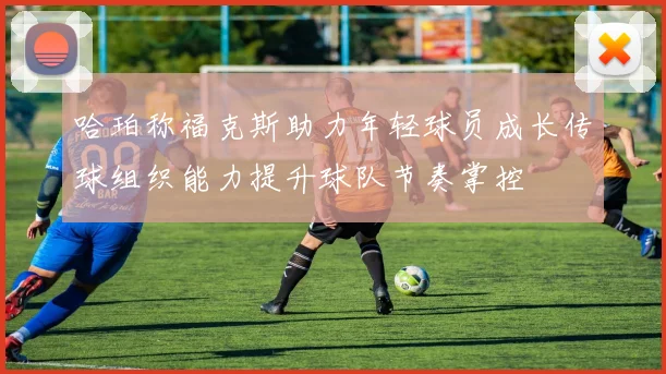 哈珀称福克斯助力年轻球员成长传球组织能力提升球队节奏掌控